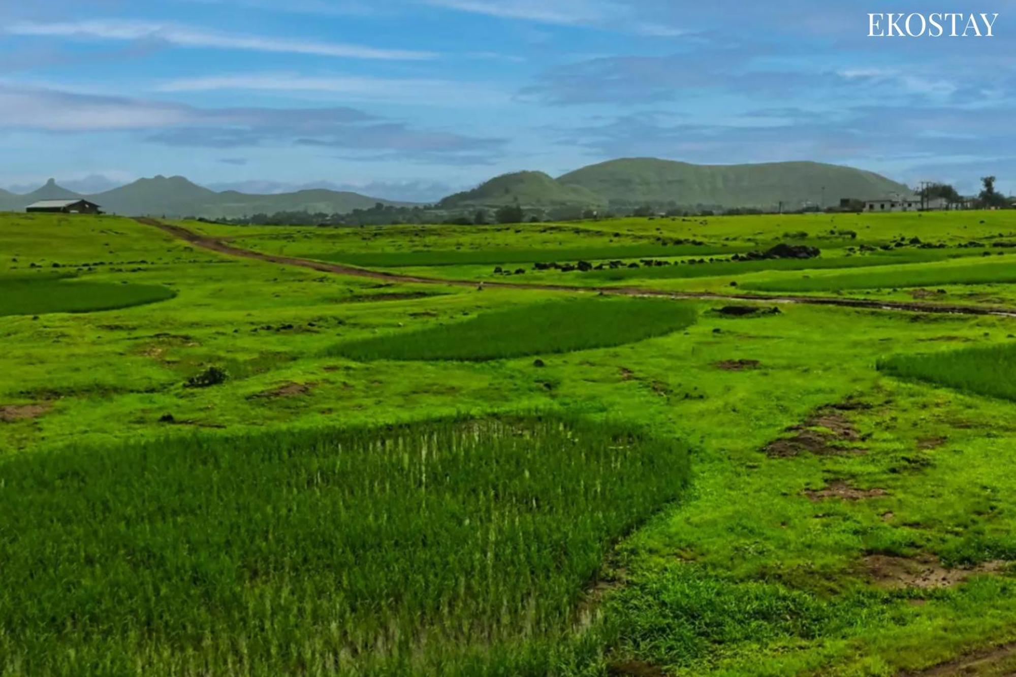 Ekostay - Neptune Villa Igatpuri Esterno foto